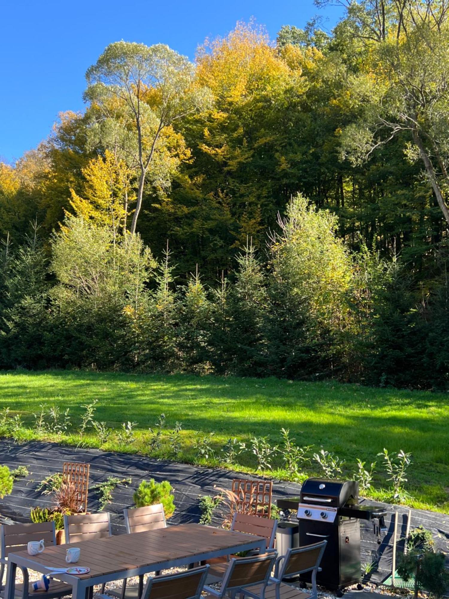 Polana Slowikowa 5 Star- Domek W Gorach Z Jacuzzi, Sauna,Basen,Ogrod Z Lasem, Kominek I Narty Stroza  Bagian luar foto
